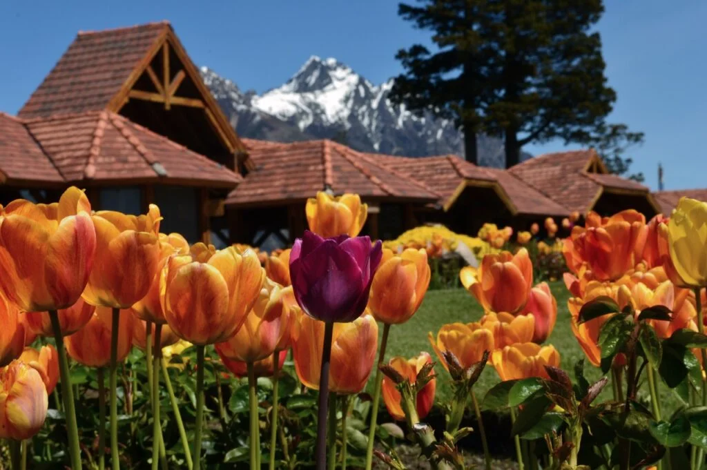 Best Hotels in Bariloche