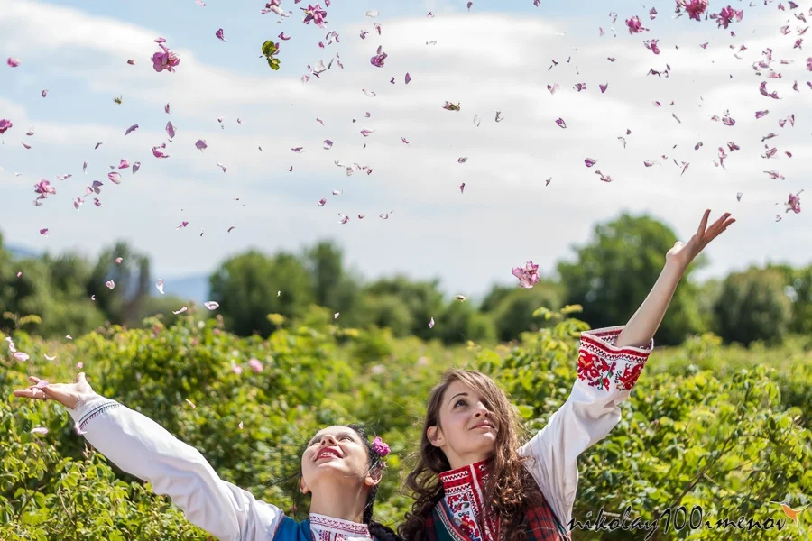 ROZOVO, BULGARIA - JUNE 06, 2015 - Rose picking ritual in Rozovo village. Girls throwing roses in the air as part of the celebrations.